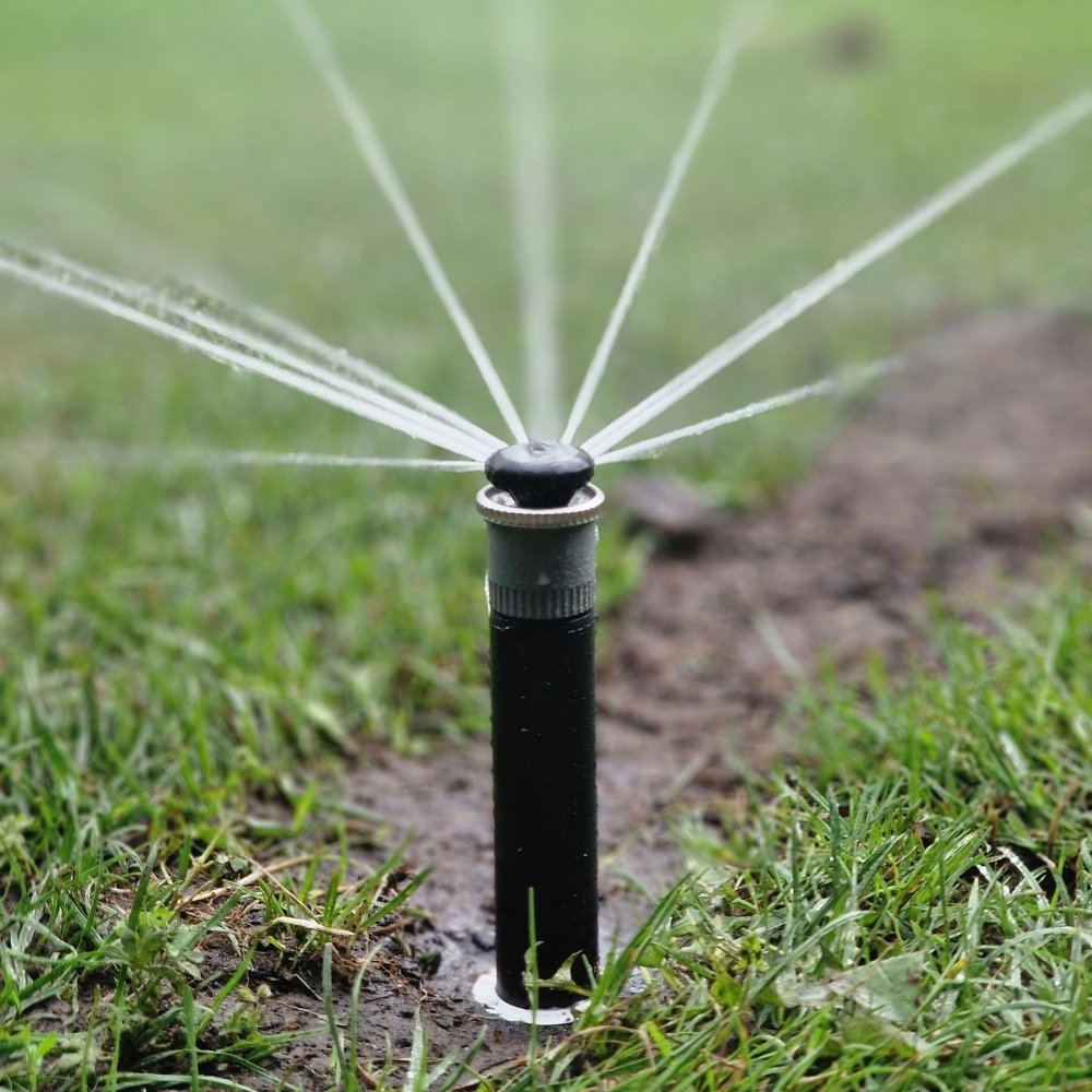 ein regner eines automatischen bewässerungssystem kommt aus der erde und sprüht wasser berlin brandenburg