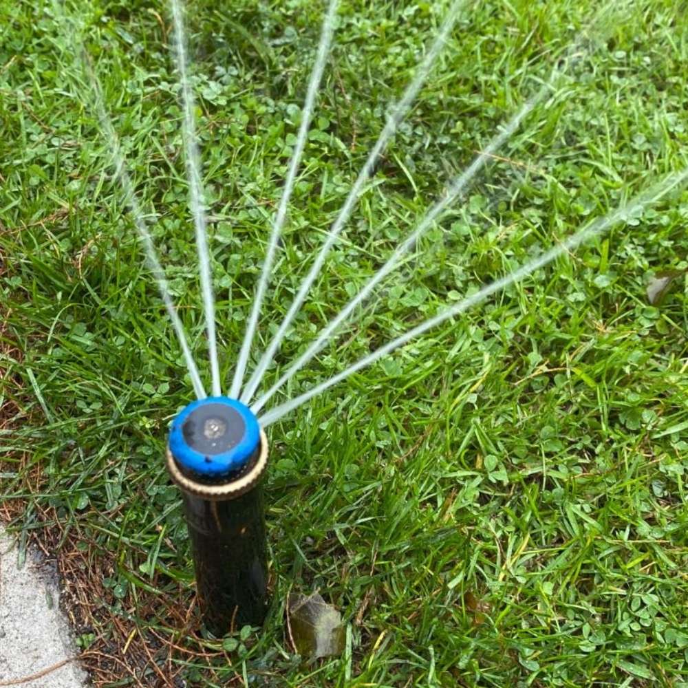 automatisierte gartenbewässerung vom Spezialisten berlin brandenburg